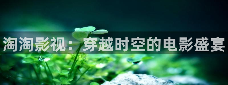 飘雪影视在线：淘淘影视：穿越时空的电影盛宴