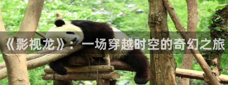 飘雪影视在线免费观看：《影视龙》：一场穿越时空的奇幻之旅