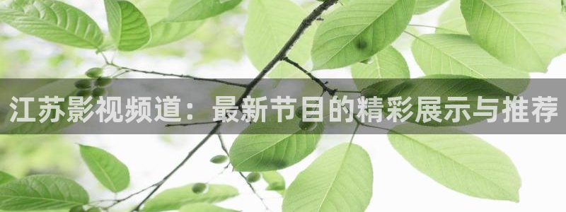 飘雪影视在线高清观看：江苏影视频道：最新节目的精彩展示与推荐